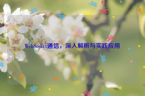 WebSocket通信，深入解析与实践应用
