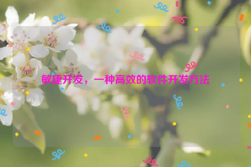 敏捷开发，一种高效的软件开发方法
