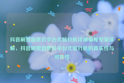 抖音刷赞超低价平台式验针机评测编程专家详解，抖音刷赞超低价平台式验针机的真实性与可靠性