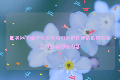 服务器可维护化服务器可维护性评估指南服务器维护有哪些内容