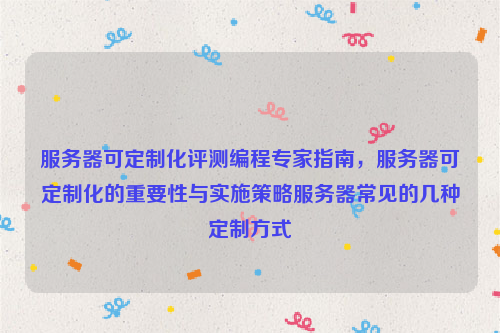 服务器可定制化评测编程专家指南，服务器可定制化的重要性与实施策略服务器常见的几种定制方式