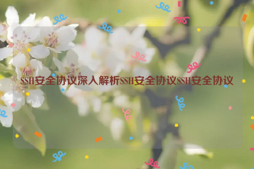 SSH安全协议深入解析SSH安全协议SSH安全协议