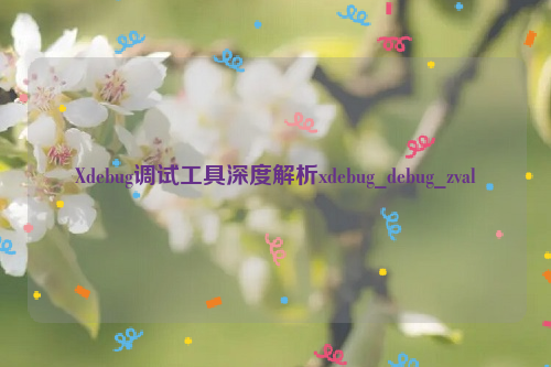 Xdebug调试工具深度解析xdebug_debug_zval