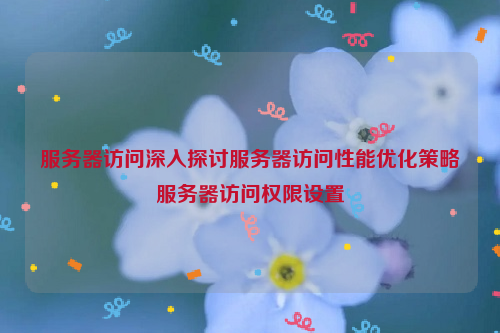 服务器访问深入探讨服务器访问性能优化策略服务器访问权限设置