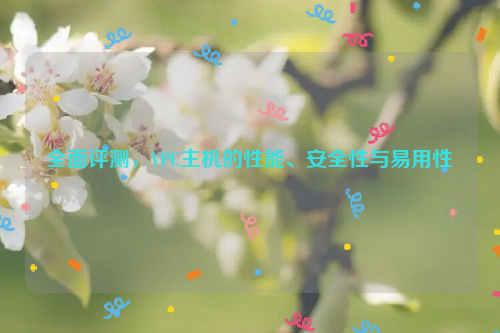 全面评测，VPC主机的性能、安全性与易用性