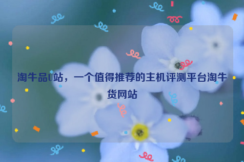 淘牛品U站，一个值得推荐的主机评测平台淘牛货网站
