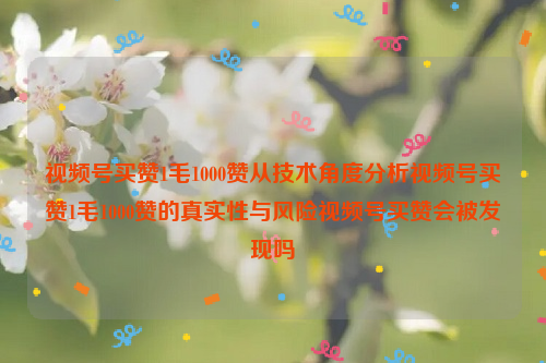 视频号买赞1毛1000赞从技术角度分析视频号买赞1毛1000赞的真实性与风险视频号买赞会被发现吗