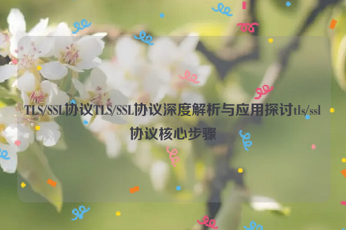 TLS/SSL协议TLS/SSL协议深度解析与应用探讨tls/ssl协议核心步骤