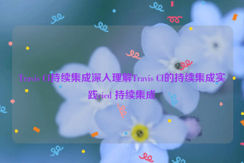 Travis CI持续集成深入理解Travis CI的持续集成实践cicd 持续集成