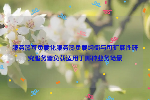 服务器可负载化服务器负载均衡与可扩展性研究服务器负载适用于哪种业务场景