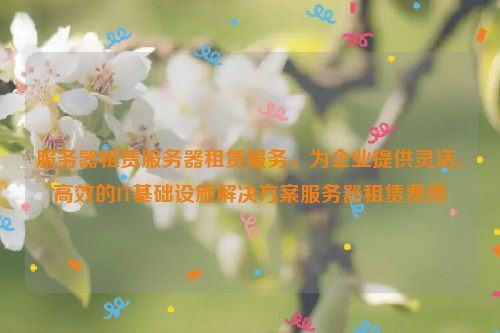 服务器租赁服务器租赁服务，为企业提供灵活、高效的IT基础设施解决方案服务器租赁费用