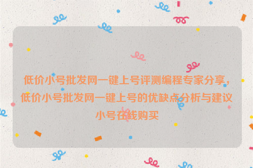 低价小号批发网一键上号评测编程专家分享，低价小号批发网一键上号的优缺点分析与建议小号在线购买