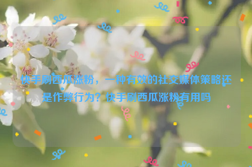 快手刷西瓜涨粉，一种有效的社交媒体策略还是作弊行为？快手刷西瓜涨粉有用吗