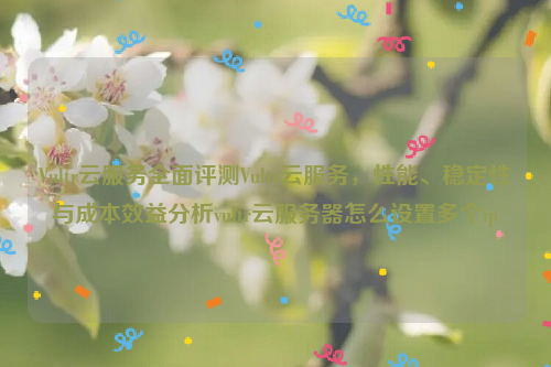 Vultr云服务全面评测Vultr云服务，性能、稳定性与成本效益分析vultr云服务器怎么设置多个ip