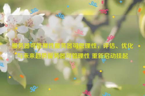 服务器可管理性服务器可管理性，评估、优化与未来趋势服务器可管理性 重新启动挂起