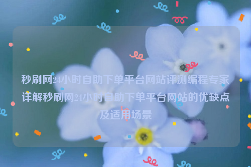 秒刷网24小时自助下单平台网站评测编程专家详解秒刷网24小时自助下单平台网站的优缺点及适用场景