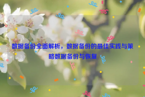 数据备份全面解析，数据备份的最佳实践与策略数据备份与恢复