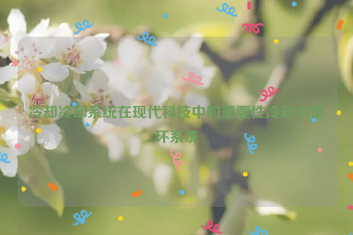 冷却冷却系统在现代科技中的重要性冷却水循环系统