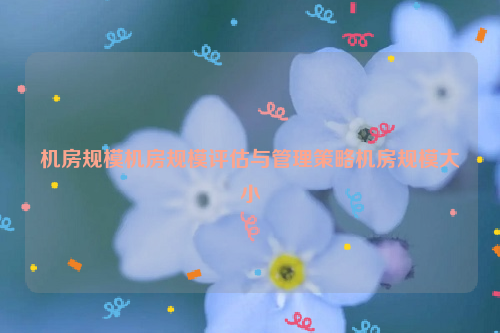 机房规模机房规模评估与管理策略机房规模大小