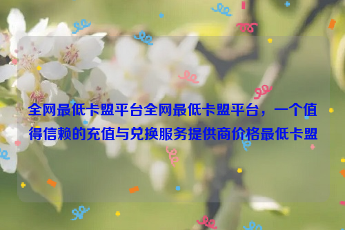 全网最低卡盟平台全网最低卡盟平台，一个值得信赖的充值与兑换服务提供商价格最低卡盟