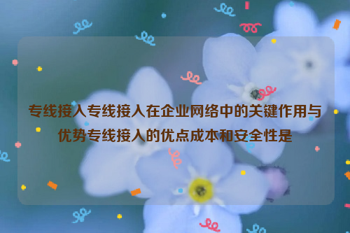 专线接入专线接入在企业网络中的关键作用与优势专线接入的优点成本和安全性是