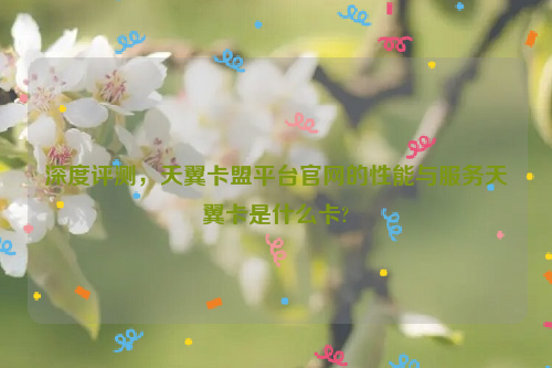 深度评测，天翼卡盟平台官网的性能与服务天翼卡是什么卡?