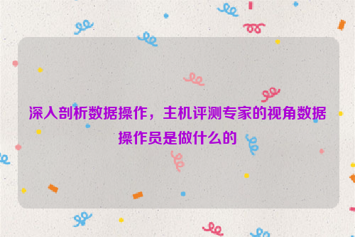 深入剖析数据操作，主机评测专家的视角数据操作员是做什么的