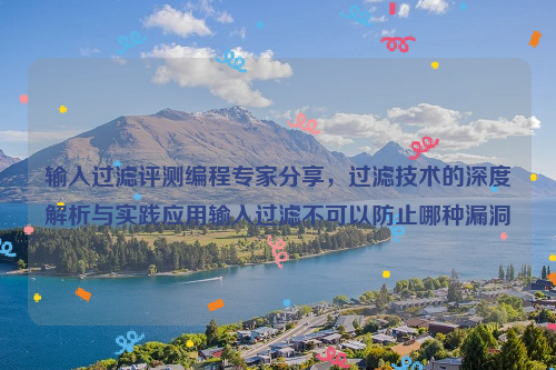 输入过滤评测编程专家分享，过滤技术的深度解析与实践应用输入过滤不可以防止哪种漏洞