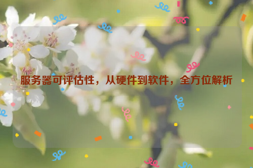 服务器可评估性，从硬件到软件，全方位解析