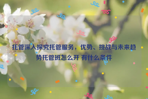 托管深入探究托管服务，优势、挑战与未来趋势托管班怎么开 有什么条件