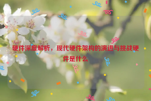 硬件深度解析，现代硬件架构的演进与挑战硬件是什么