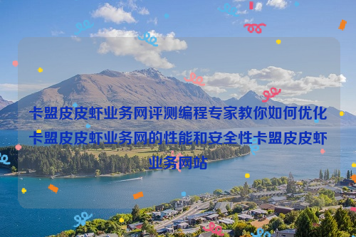 卡盟皮皮虾业务网评测编程专家教你如何优化卡盟皮皮虾业务网的性能和安全性卡盟皮皮虾业务网站