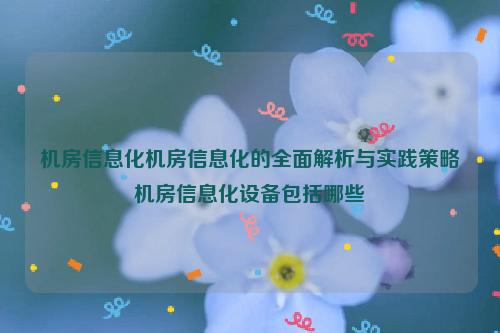 机房信息化机房信息化的全面解析与实践策略机房信息化设备包括哪些