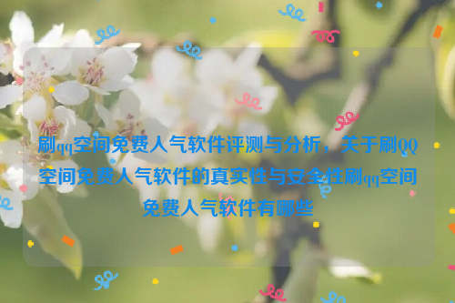 刷qq空间免费人气软件评测与分析，关于刷QQ空间免费人气软件的真实性与安全性刷qq空间免费人气软件有哪些