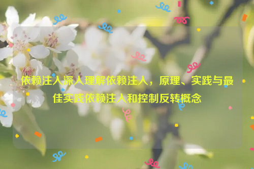 依赖注入深入理解依赖注入，原理、实践与最佳实践依赖注入和控制反转概念