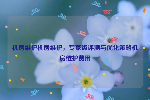 机房维护机房维护，专家级评测与优化策略机房维护费用