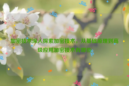 加密技术深入探索加密技术，从基础原理到高级应用加密技术有哪些