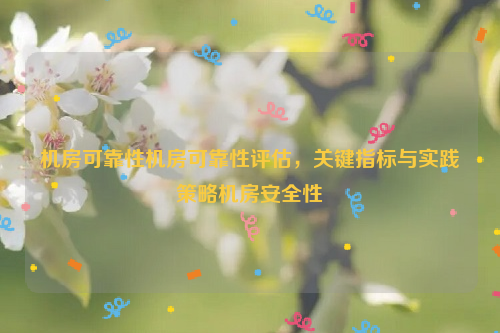 机房可靠性机房可靠性评估，关键指标与实践策略机房安全性