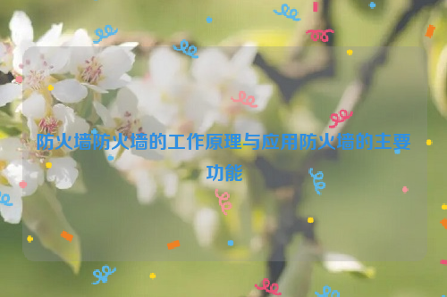 防火墙防火墙的工作原理与应用防火墙的主要功能