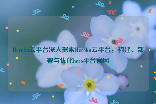 Heroku云平台深入探索Heroku云平台，构建、部署与优化hero平台官网