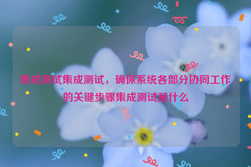 集成测试集成测试，确保系统各部分协同工作的关键步骤集成测试是什么