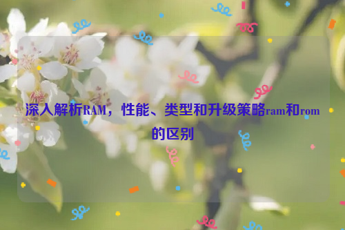 深入解析RAM，性能、类型和升级策略ram和rom的区别