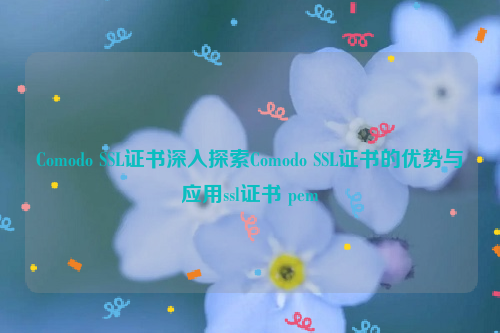 Comodo SSL证书深入探索Comodo SSL证书的优势与应用ssl证书 pem