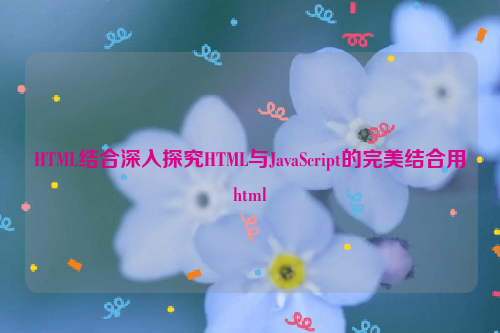 HTML结合深入探究HTML与JavaScript的完美结合用html