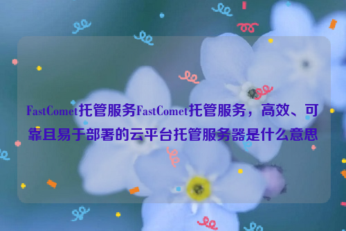 FastComet托管服务FastComet托管服务，高效、可靠且易于部署的云平台托管服务器是什么意思