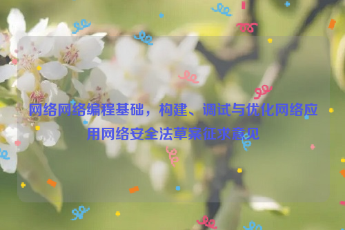 网络网络编程基础，构建、调试与优化网络应用网络安全法草案征求意见
