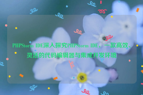 PHPStorm IDE深入探究PHPStorm IDE，一款高效、灵活的代码编辑器与集成开发环境