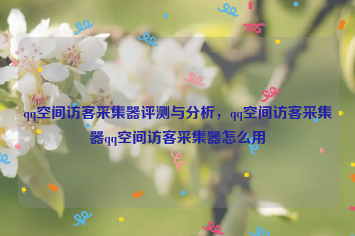qq空间访客采集器评测与分析，qq空间访客采集器qq空间访客采集器怎么用