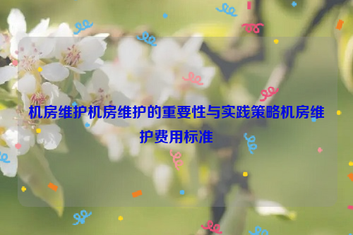 机房维护机房维护的重要性与实践策略机房维护费用标准