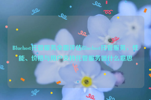 Bluehost托管服务全面评估Bluehost托管服务，性能、价格与用户支持托管服务器什么意思